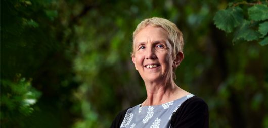 Interview: Ann Cleeves | Crime Fiction Lover