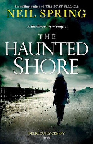 The Haunted Shore by Neil Spring crime novel