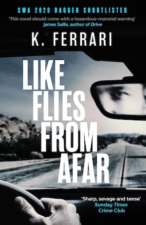 Like Flies from Afar by K Ferrari