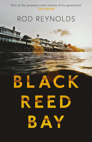 Black Reed Bay by Rod Reynolds front cover