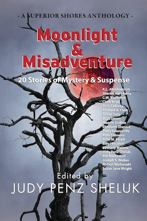 Moonlight and Misadventure short story anthology