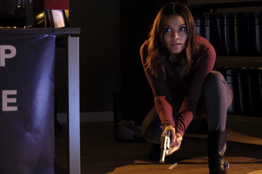 canadian crime series on netflix