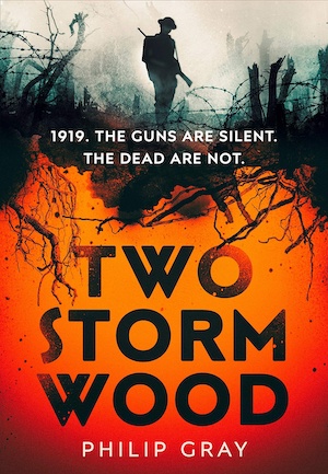 Two Storm Wood World War I crime fiction by Philip Gray front cover
