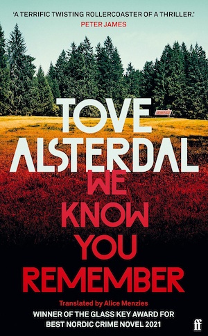 We Know You Remember by Tove Alsterdal front cover