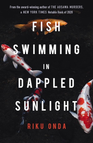 Fish Swimming in Dappled Sunlight by Riku Onda front cover