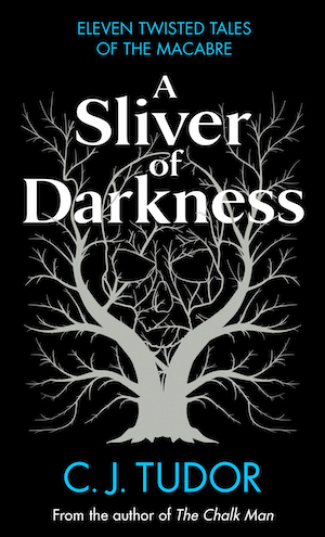 A Sliver of Darkness by CJ Tudor front cover
