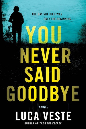 You Never Said Goodbye by Luca Veste front cover