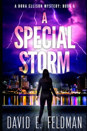 A Special Storm by David E Feldman front cover