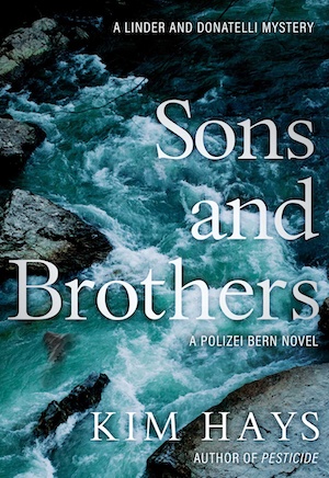Sons and Brothers by Kim Hays front cover