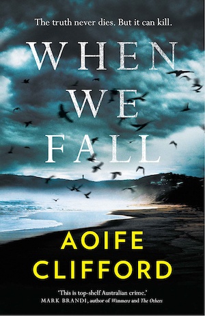 When We Fall by Aoife Clifford front cover
