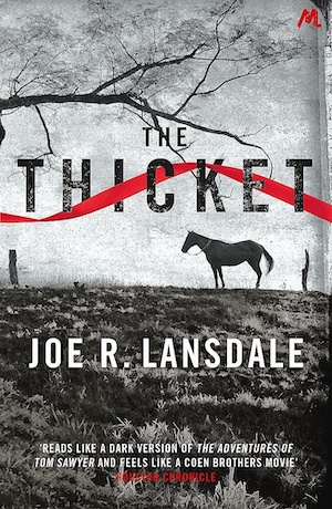 the Thicket by Joe R Lansdale front cover