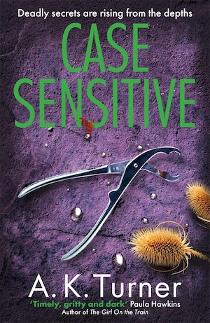 Case Sensitive by AK Turner front cover