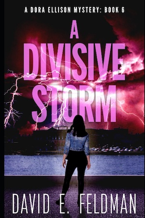 A Divisive Storm by David E Feldman front cover