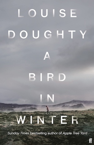 A Bird in the Winter by Louise Doughty front cover