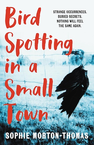Bird Spotting in a Small Town by Sophie Morton-Thomas front cover