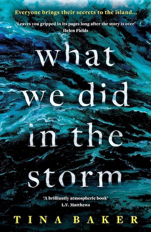 What We Did in the Storm by Tina Baker front cover