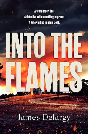 Into the Flames by James Delargy front cover