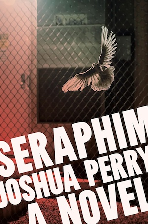 Seraphim by Joshua Perry front cover