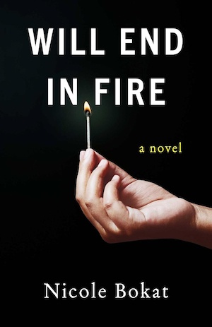 Will End in Fire by Nicole Bokat front cover