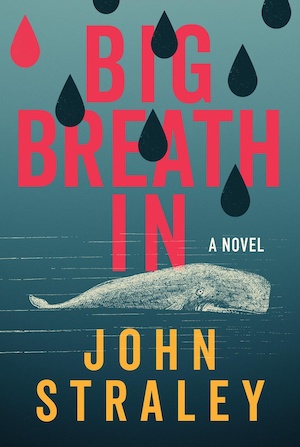 Big Breath In by John Straley front cover