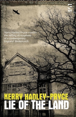 Lie of the Land by Kerry Hadley-Pryce front cover