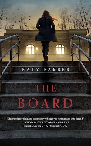 The Board by Katy Farber front cover