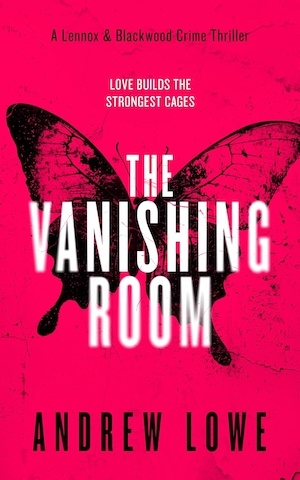 The Vanishing Room by Andrew Lowe front cover