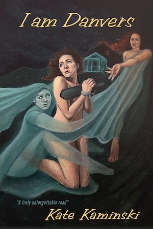 I Am Danvers by Kate Kaminski front cover