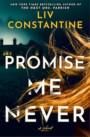 Promise Me Never by Liv Constantine front cover