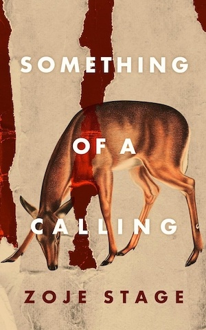 Something of a Calling by Zoje Stage front cover